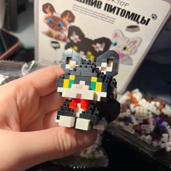 Конструктор TrendToys 3Д котики 3 шт из мини-блоков 722 дет.: отзыв пользователя Детский Мир