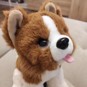 Мягкая игрушка Мульти Пульти собачка Корги: отзыв пользователя Детский Мир