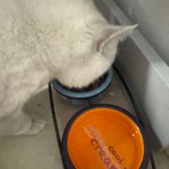 Фото отзыва 10584765