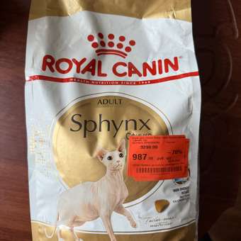 Корм сухой для кошек ROYAL CANIN Sphynx 2кг породы сфинк: отзыв пользователя. Зоомагазин Зоозавр