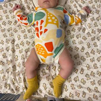 Боди 2 шт Deiko Baby: отзыв пользователя Детский Мир