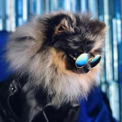 Фото отзыва 6601012