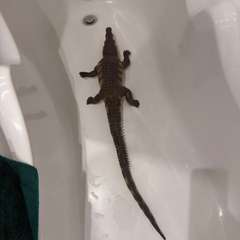 Фото отзыва 11100967