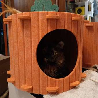 Домик Barbaks Морковка из фетра 37*37*29см: отзыв пользователя. Зоомагазин Зоозавр