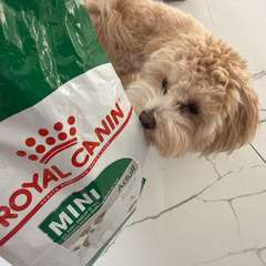 Фото отзыва 10953985