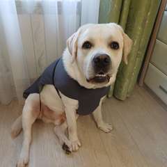 Фото отзыва 10431053