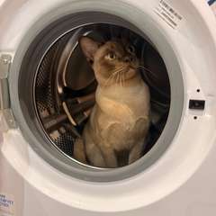 Фото отзыва 10993639