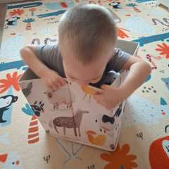 Фото отзыва 11117030