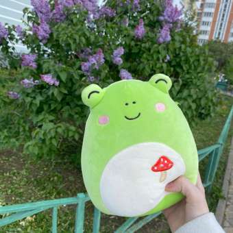 Мягкая игрушка Squishmallows Лягушонок 19 см: отзыв пользователя Детский Мир