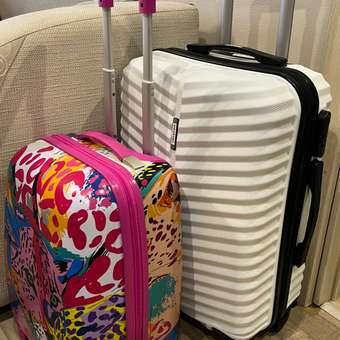 Чемодан Erhaft Гепард: отзыв пользователя ДетМир