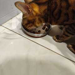 Фото отзыва 10951590