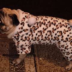 Фото отзыва 10813038