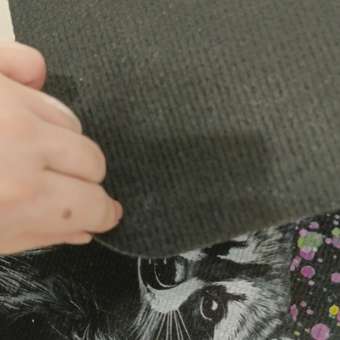 Ковёр придверный VILINA Енот 40 x 60 см 1 шт.: отзыв пользователя Детский Мир