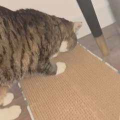 Видео отзыва 11187187