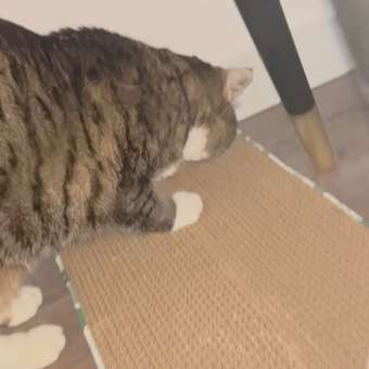 Когтеточка-лежанка для кошек Triol Стандарт S 20801006: отзыв пользователя. Зоомагазин Зоозавр