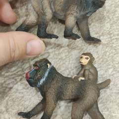 Фото отзыва 10692404