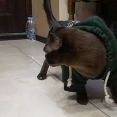 Фото отзыва 11063871