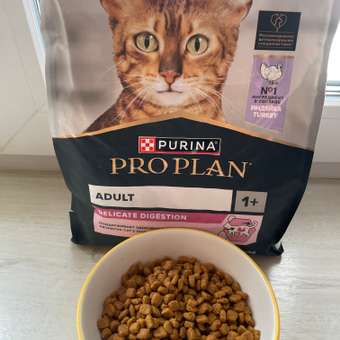 Корм сухой для кошек PRO PLAN DELICATE DIGESTION 1.5 кг с индейкой: отзыв пользователя. Зоомагазин Зоозавр