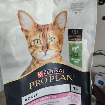 Корм сухой для кошек PRO PLAN DELICATE DIGESTION 3 кг с ягненком: отзыв пользователя. Зоомагазин Зоозавр