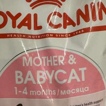 Корм сухой для котят ROYAL CANIN Kitten 300г: отзыв пользователя. Зоомагазин Зоозавр
