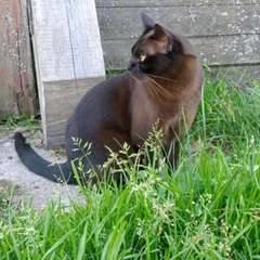 Фото отзыва 10665576