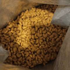 Фото отзыва 10687941