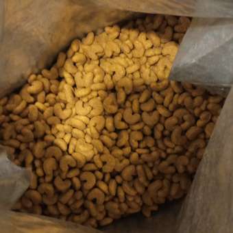 Корм для щенков ROYAL CANIN породы французский бульдог 3кг: отзыв пользователя. Зоомагазин Зоозавр