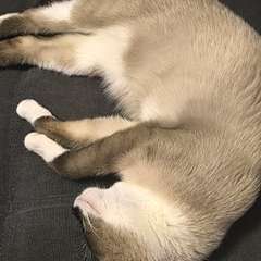 Фото отзыва 11091797