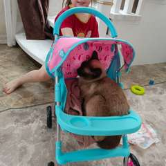 Фото отзыва 11073847