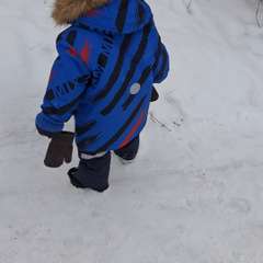 Фото отзыва 10850030