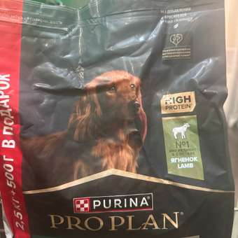 Корм для собак PRO PLAN Optidegest мелких и карликовых пород с чувствительным пищеварением ягненок-рис 2.5кг+500г 67208: отзыв пользователя. Зоомагазин Зоозавр
