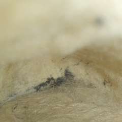 Фото отзыва 10903960