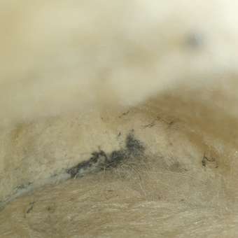 Ботинки CASTLELADY: отзыв пользователя Детский Мир