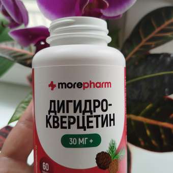 БАД morepharm Дигидрокверцетин для сердца сосудов бронхов и легких: отзыв пользователя Детский Мир