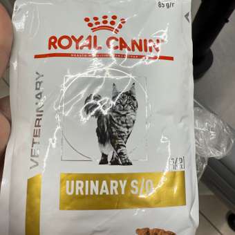 Корм влажный для кошек ROYAL CANIN Urinary s/o при мочекаменной болезни паучи 85г: отзыв пользователя. Зоомагазин Зоозавр