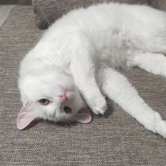 Фото отзыва 10533922