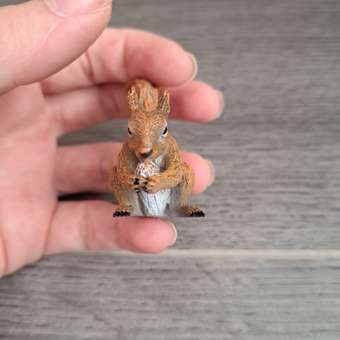 Фигурка Collecta Красная белка: отзыв пользователя Детский Мир