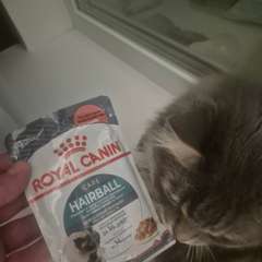 Фото отзыва 10725251