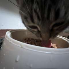 Фото отзыва 10583655