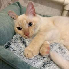 Фото отзыва 10744658