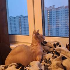 Фото отзыва 10584682