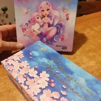 Набор для творчества Brauberg: отзыв пользователя Детский Мир