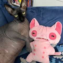 Фото отзыва 11171686