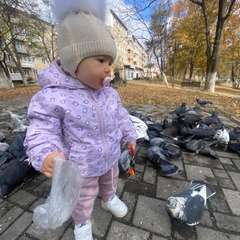 Фото отзыва 10726323