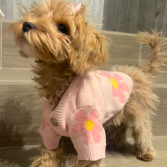 Кардиган для собак Зоозавр: отзыв пользователя. Зоомагазин Зоозавр