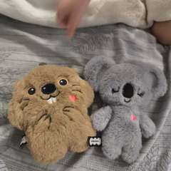 Фото отзыва 9895843