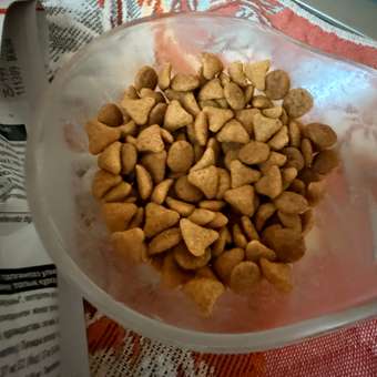 Корм сухой для кошек ROYAL CANIN Exigent Savour 400г привередливых к вкусу продукта: отзыв пользователя. Зоомагазин Зоозавр