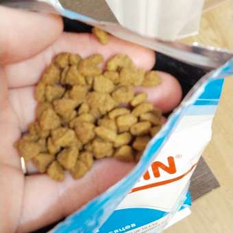 Корм для щенков ROYAL CANIN Puppy миниатюрных пород 3кг: отзыв пользователя. Зоомагазин Зоозавр