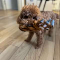 Фото отзыва 8342888