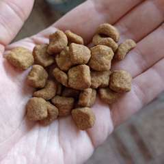 Фото отзыва 11025022